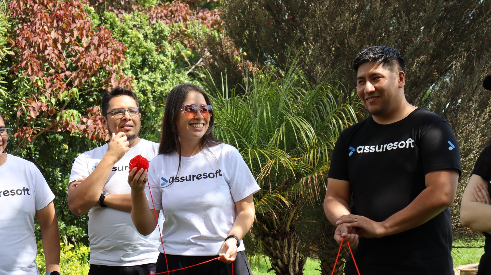 Assuresoft 1