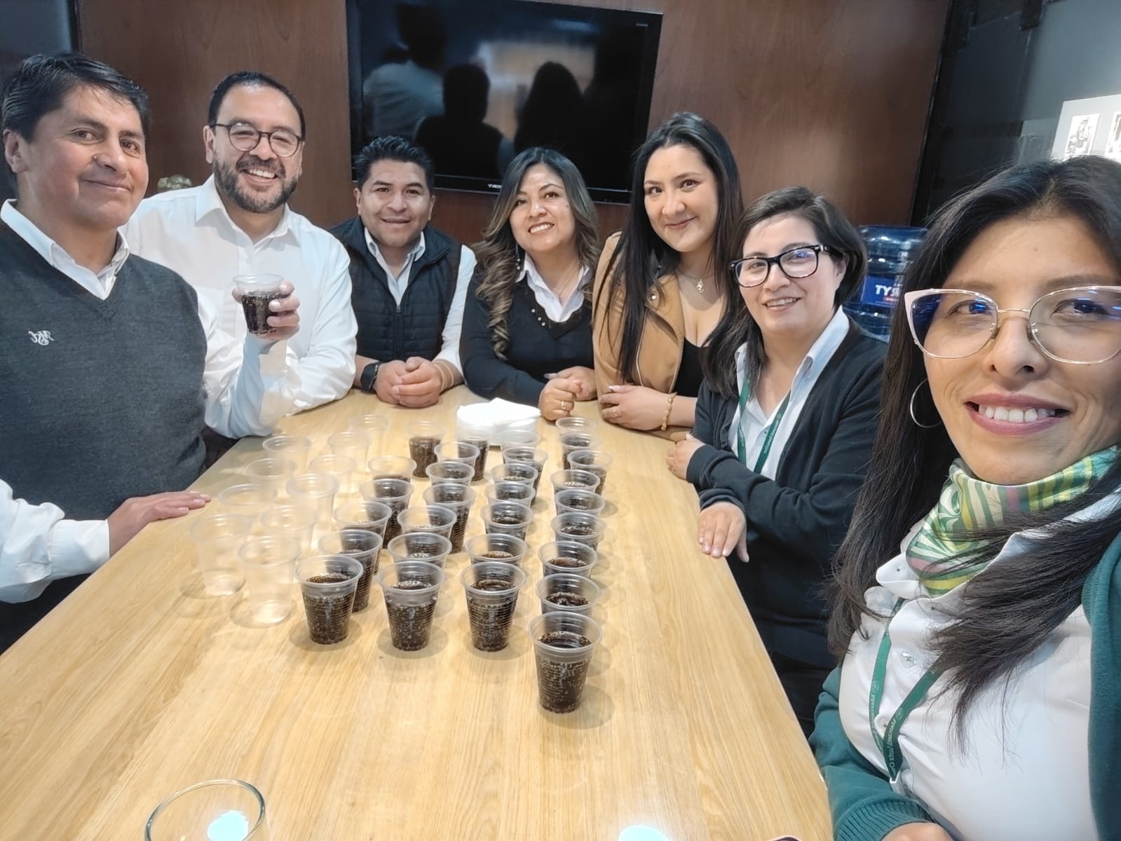 Safi Mercantil Santa Cruz 1